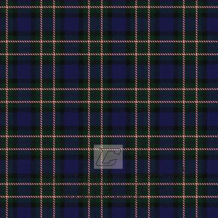 Dishkin Norman Family Tartan