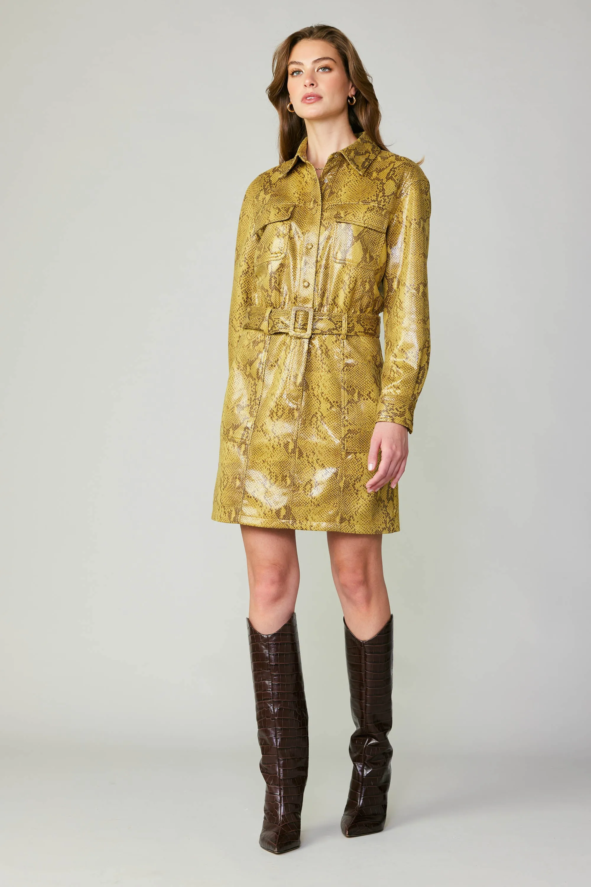 Snakeskin Shirt Dress