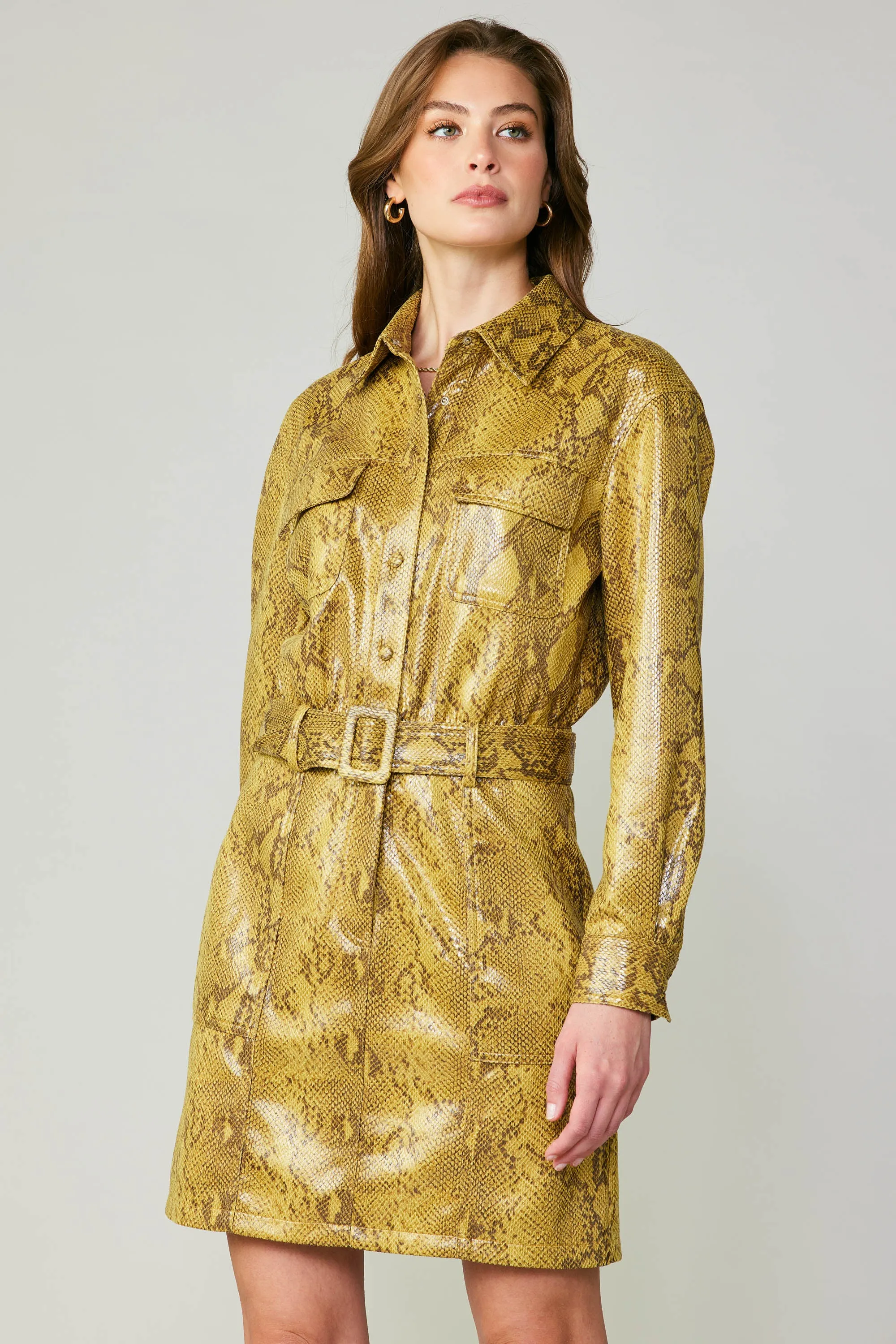 Snakeskin Shirt Dress